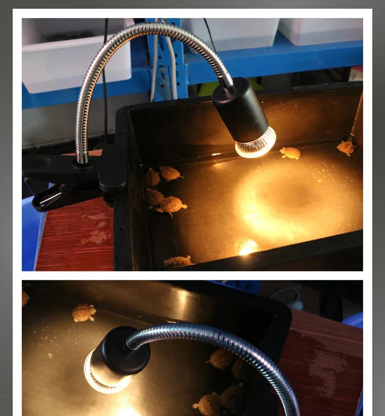 25W UVA&uvb adjust temperature lamps turtle reptile Heat back pet light tortoise calcium solarium aquarium habitat lighting